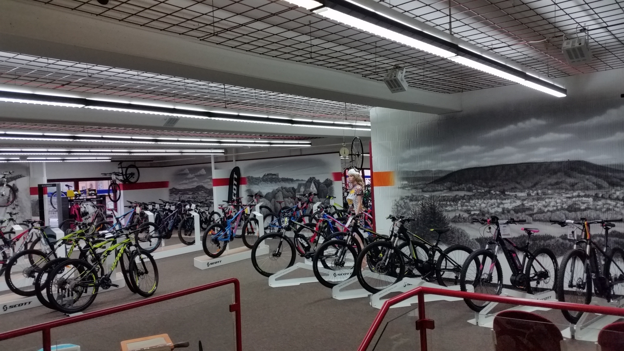 fahrrad martin neustadt bei coburg