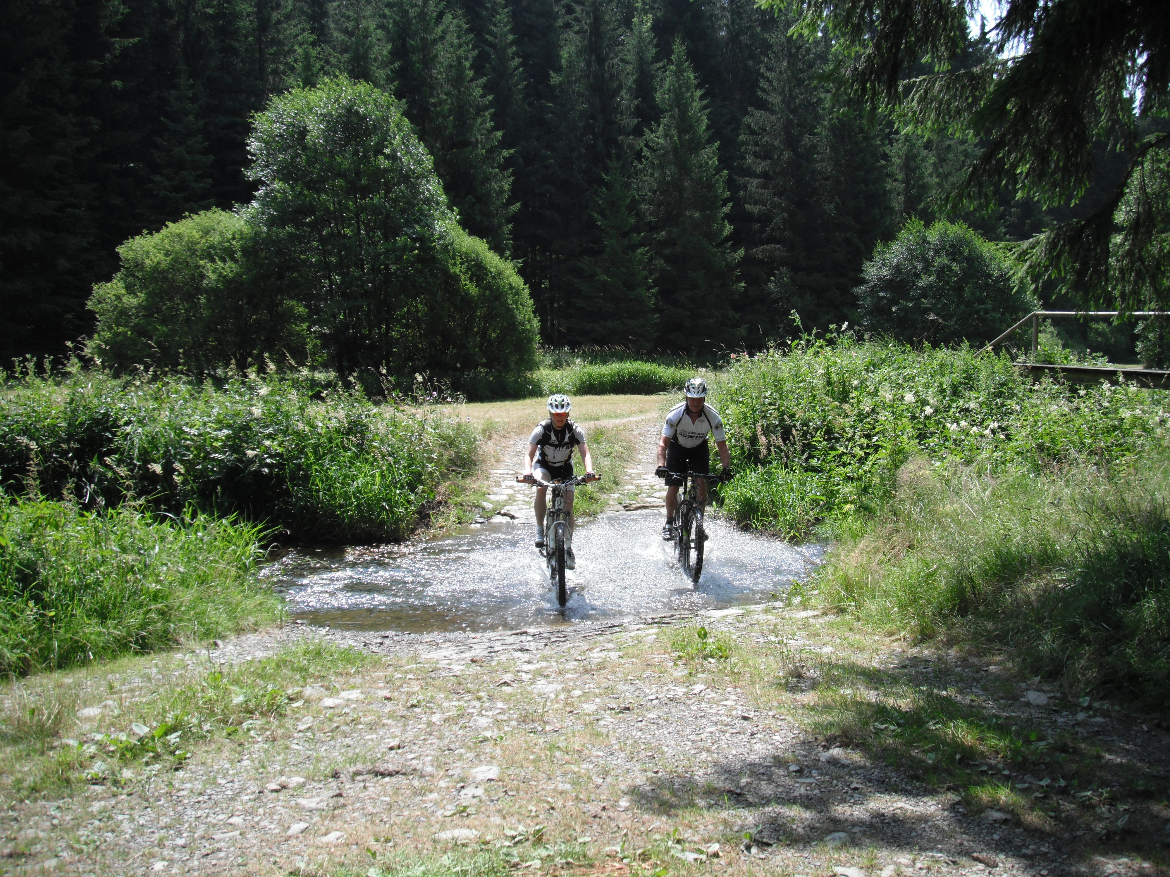 Rennsteigsued2013 024