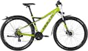 Sharptail Street 3 29 Gelb
